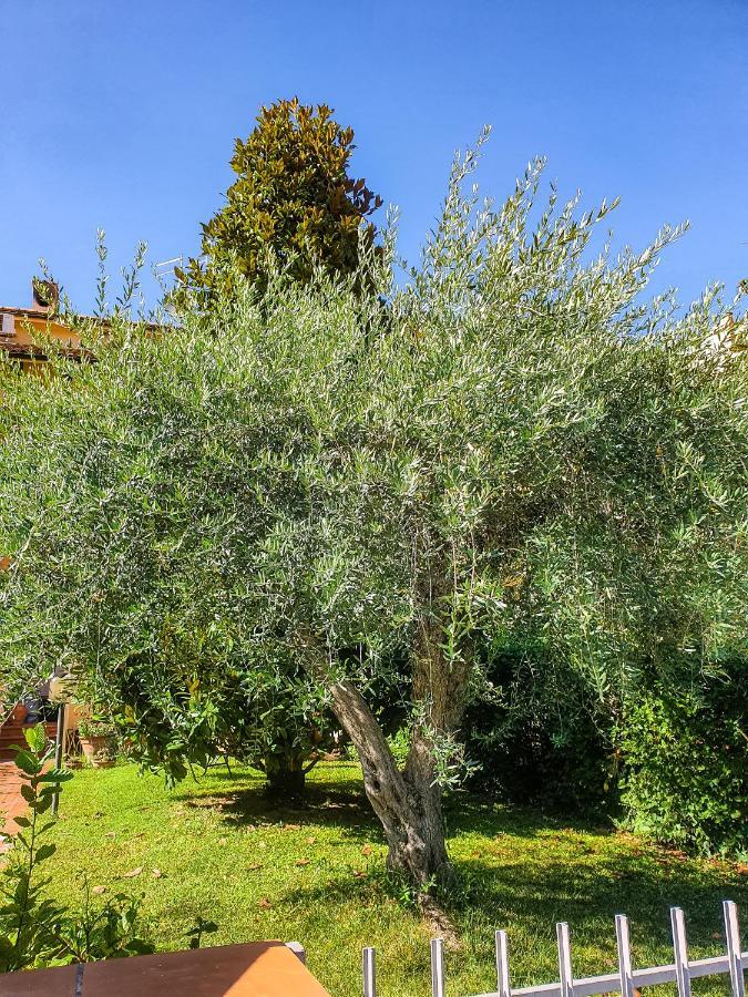 Villa Elsa, Cesena Zona Ippodromo Екстериор снимка