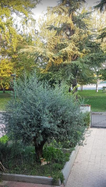 Villa Elsa, Cesena Zona Ippodromo Екстериор снимка