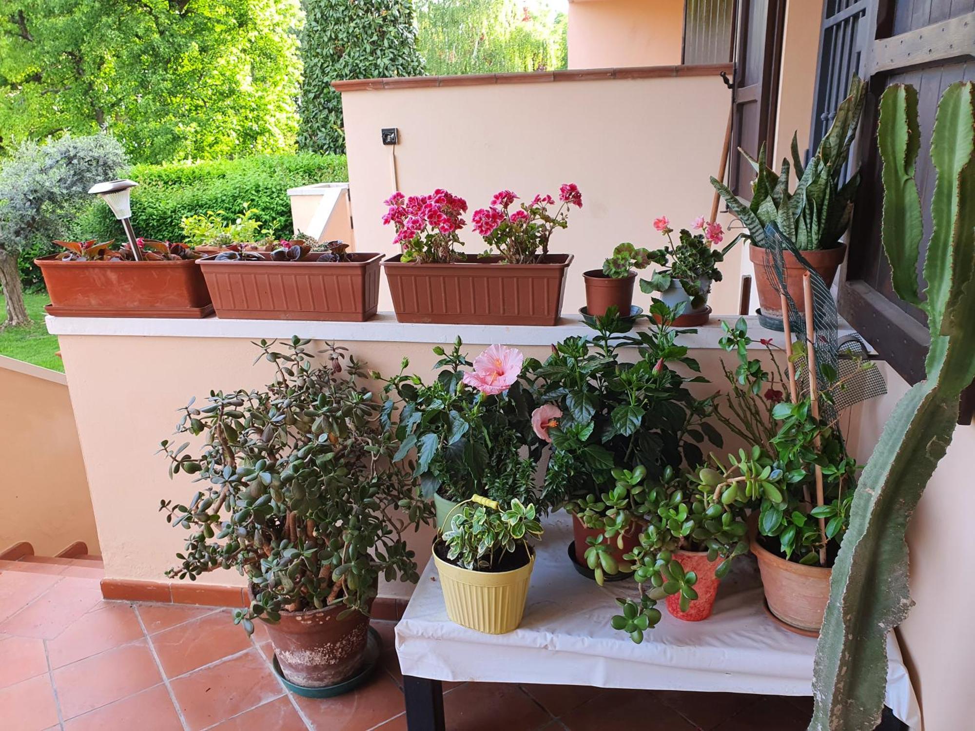 Villa Elsa, Cesena Zona Ippodromo Екстериор снимка