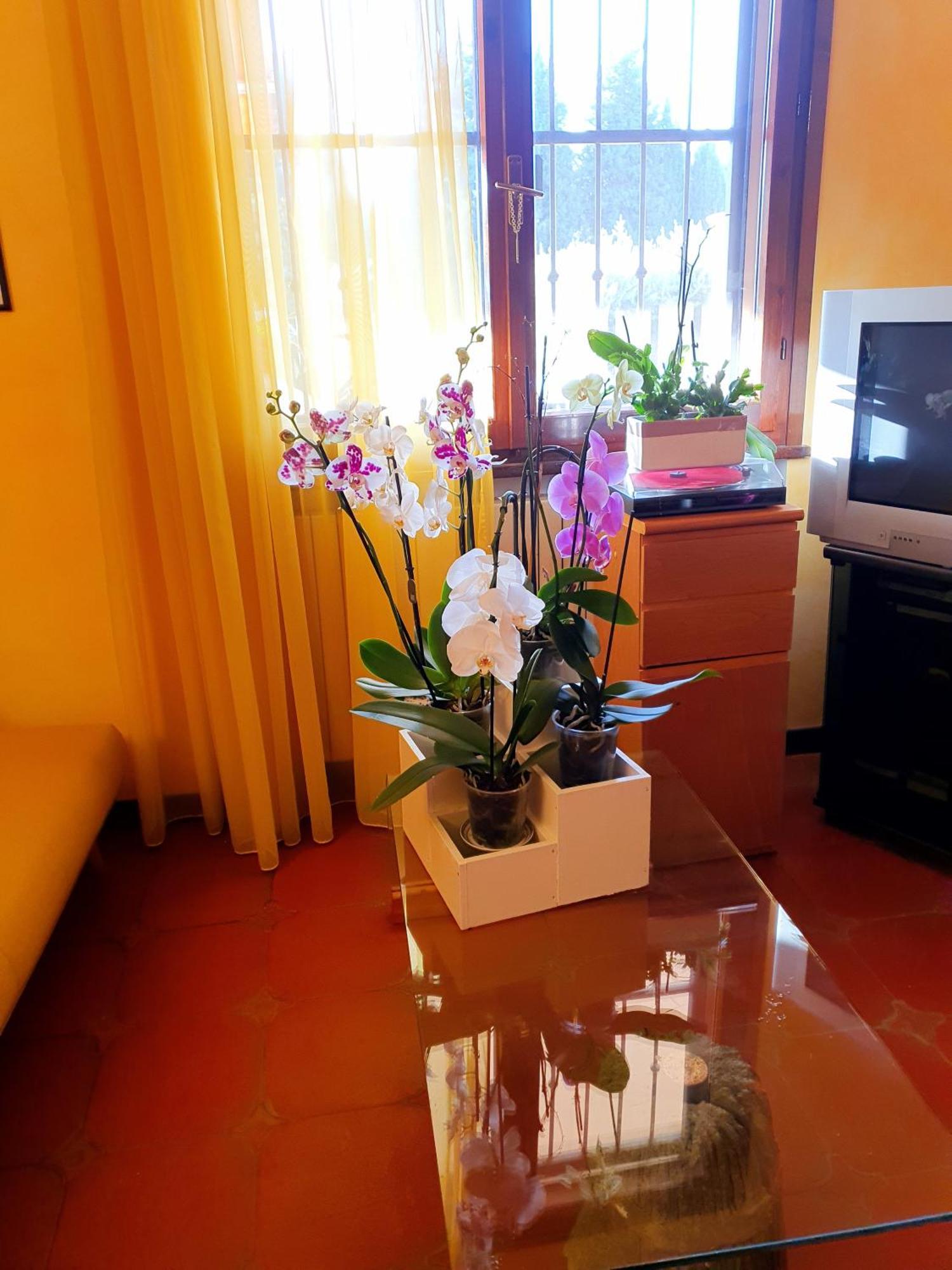 Villa Elsa, Cesena Zona Ippodromo Екстериор снимка